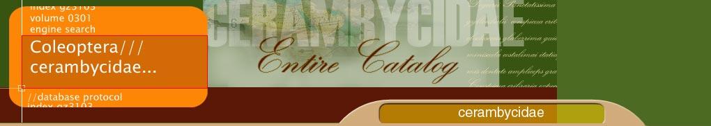 Cerambycidae header