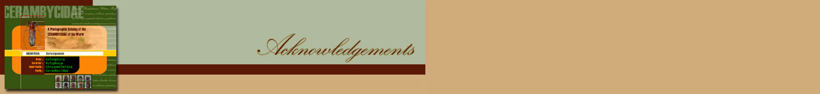 acknowledgement header
